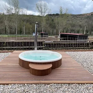 https://touristic-ballonga-horses.catalonia-hotels.com